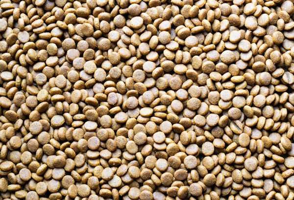 Les Conséquences Durables de la Covid-19 sur la Vie Quotidienne des Ambulanciers : Un Regard Approfondi